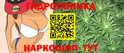 спиды Кимры