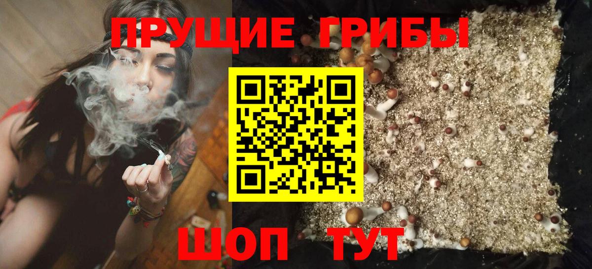 Псилоцибиновые грибы ЛСД  Вход с VPN  Кировск  Псилоцибиновые грибы мухоморы 